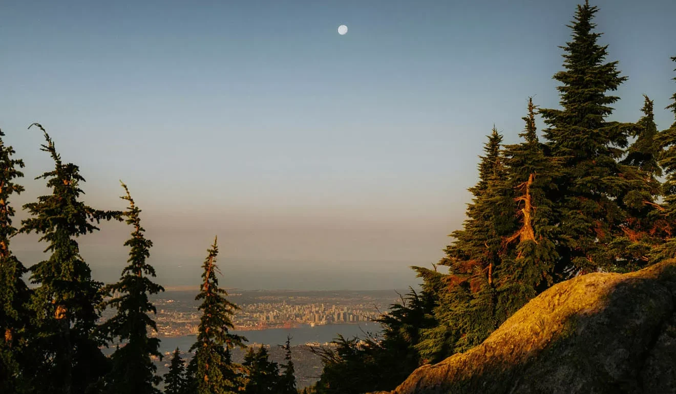 luke miller FUzzFCmJkwk unsplash jpg