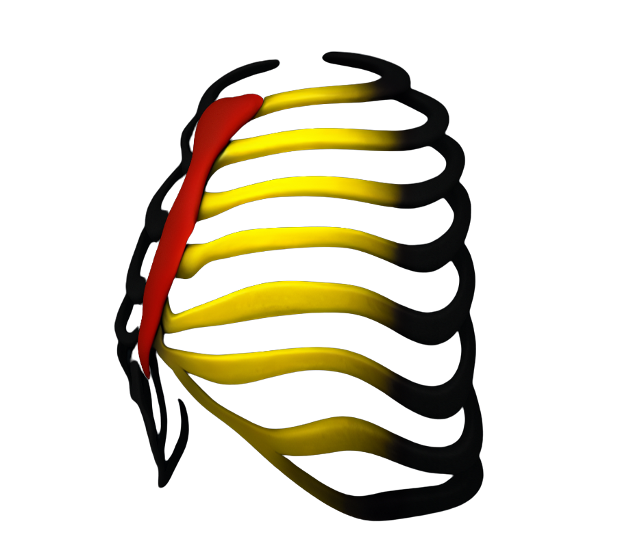 Adsiz tasarim 5 kopyasi 6