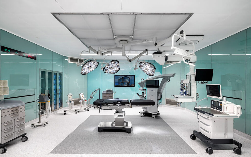 IMG_4805 (1) svg+xml;charset=utf