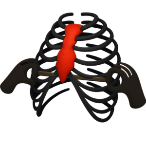 WhatsApp Image 2025 07 28 at 15.29.18 Photoroom