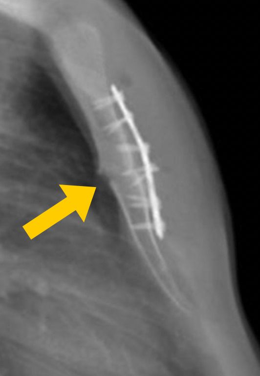 WhatsApp Image 2025-09-05 at 14.06.47 svg+xml;charset=utf